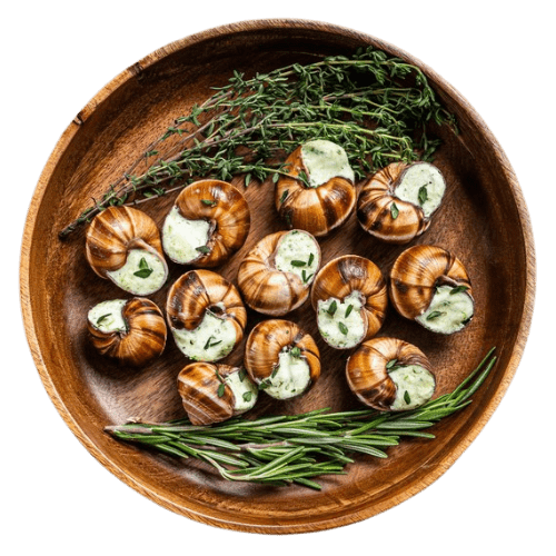 Lumaca Gourmet